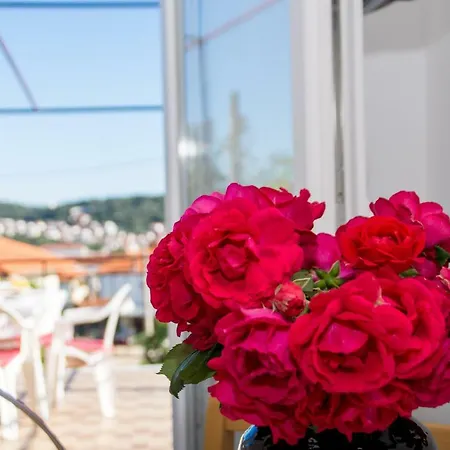 Silva * 트로기르