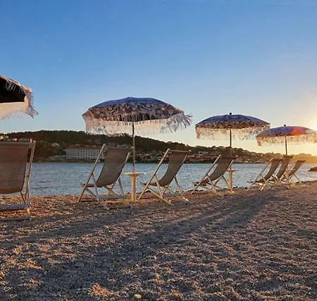 Silva * 트로기르