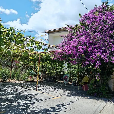 Apartmán Silva Trogir